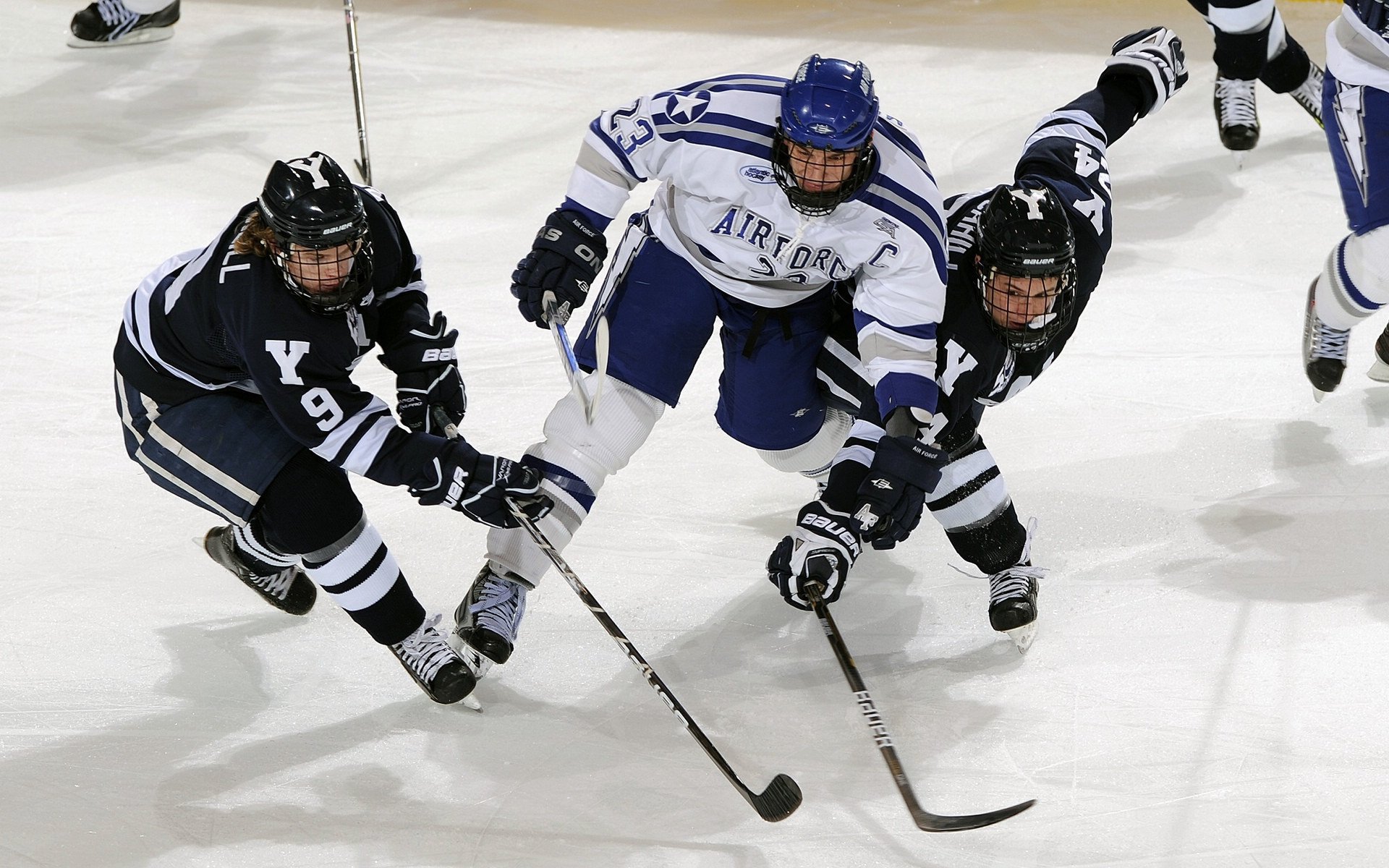 _场馆升级：引入先进设备，提升比赛体验_，先进场面引导控制系统